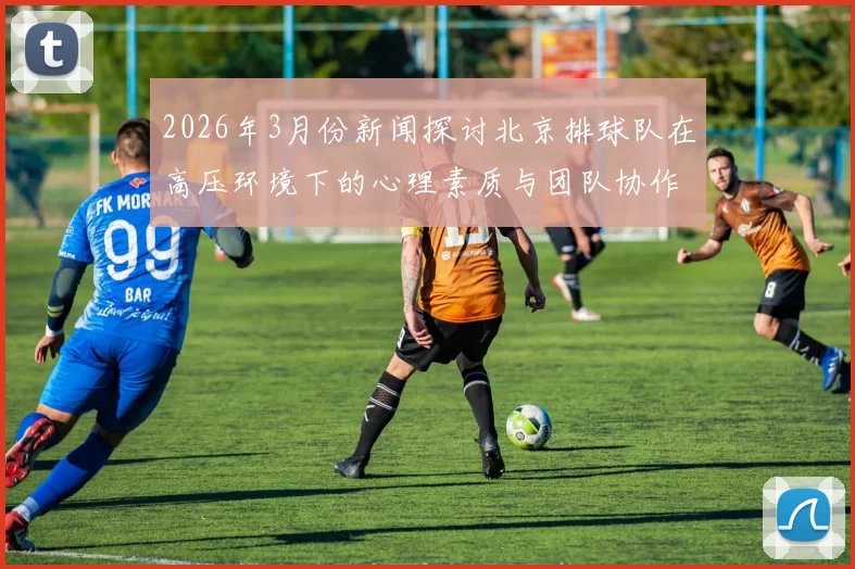 2026年3月份新闻探讨北京排球队在高压环境下的心理素质与团队协作能力提升策略
